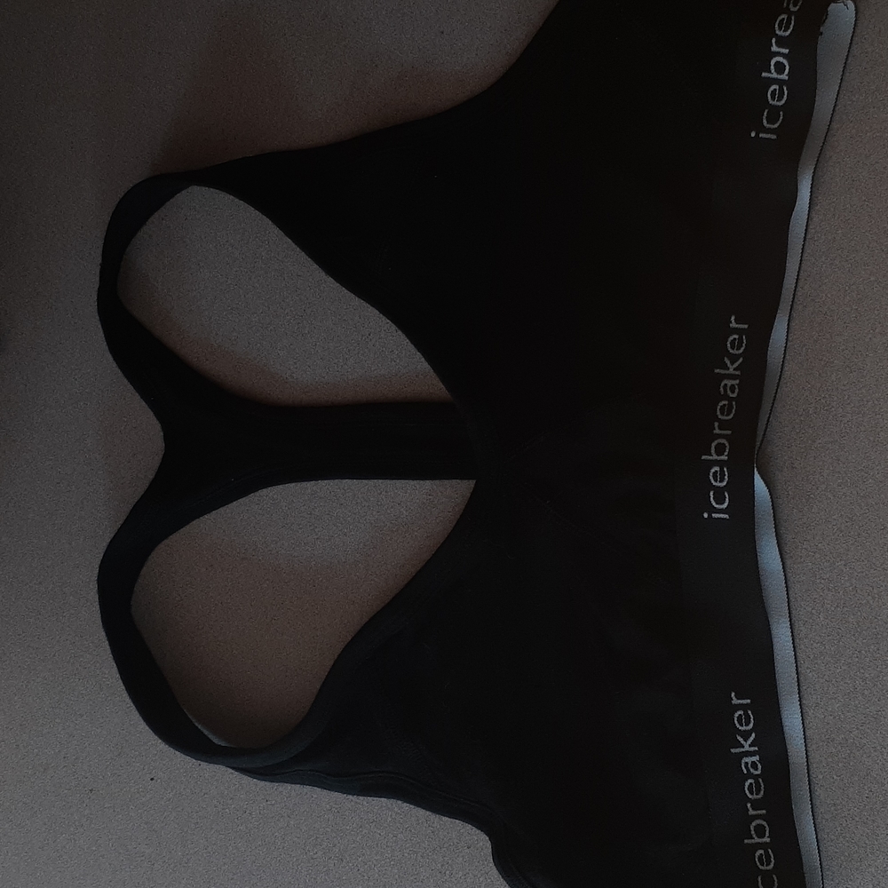 Merino Wool Bra